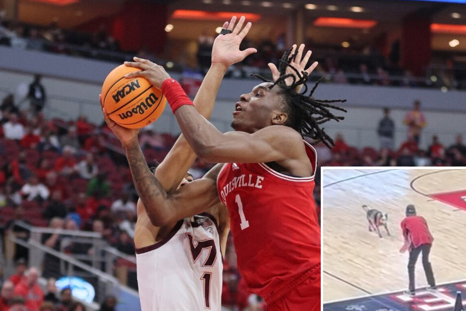 Louisville basketball's stinky dog halftime show takes a dump on its final game