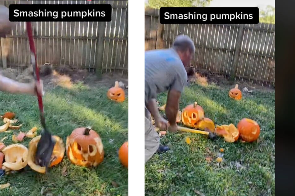 Before pumpkins can be composted to make mulch, they have to be broken down into bits.