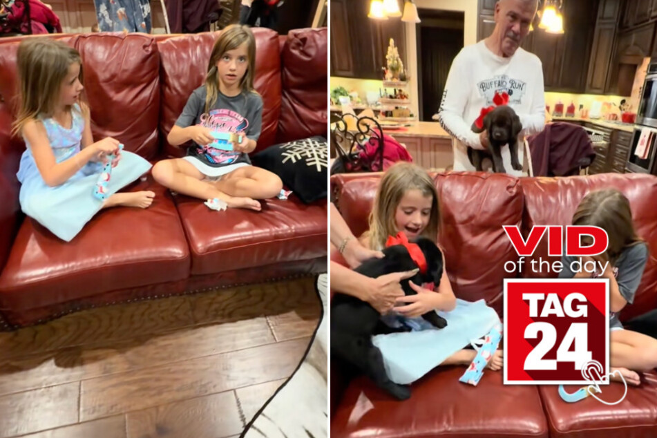 Viral Video of the Day for December 22, 2025: Perfect Christmas surprise leaves TikTok in tears