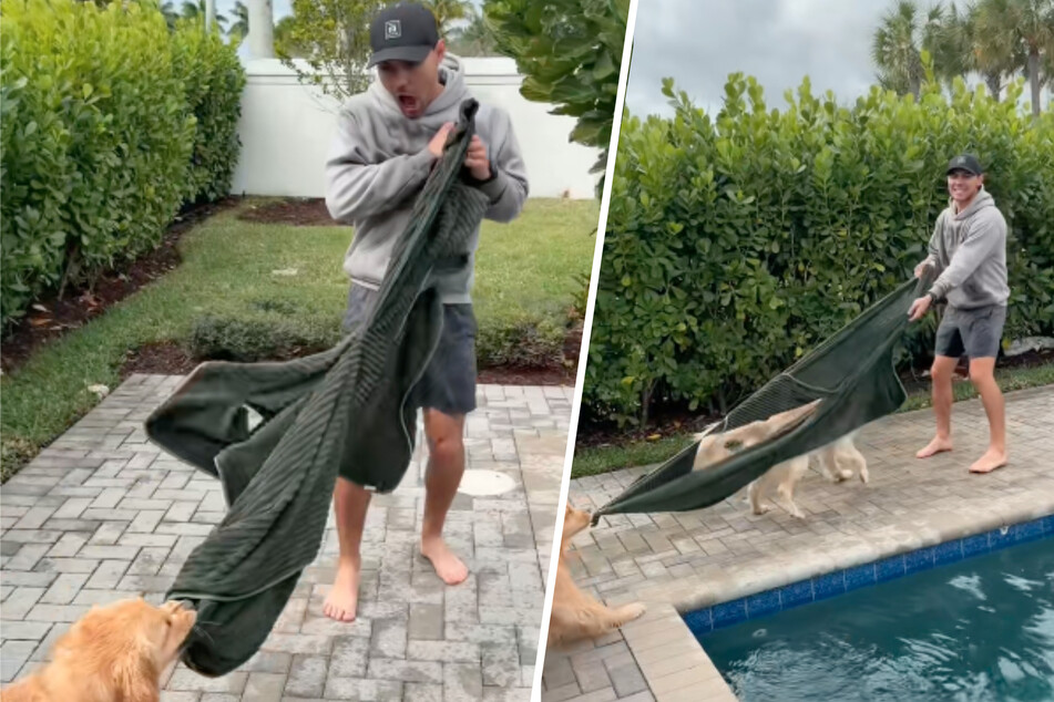 Dog owner hilariously fails to wrestle Golden Retriever out of the pool – then things really get crazy