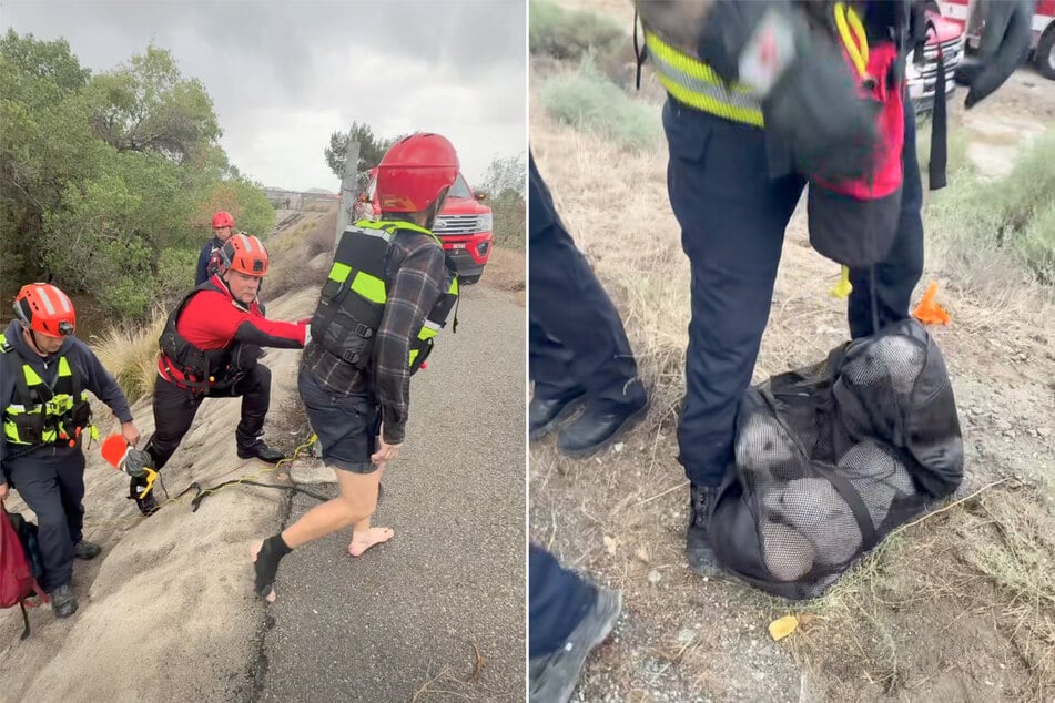 During the rescue, the women wore life jackets while the dogs waited in a net for their release.