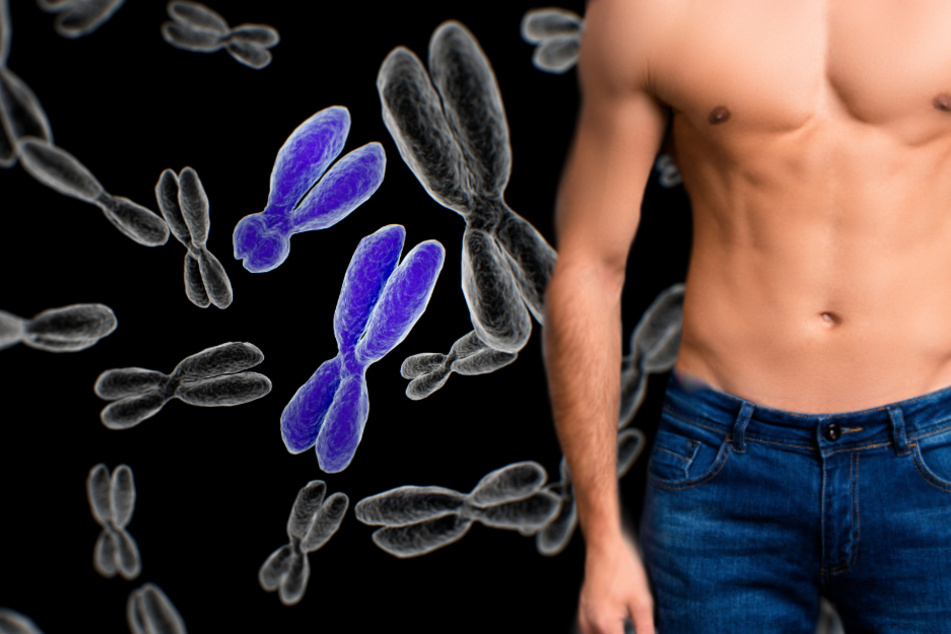 The end of men? Study reveals shrinking Y chromosome