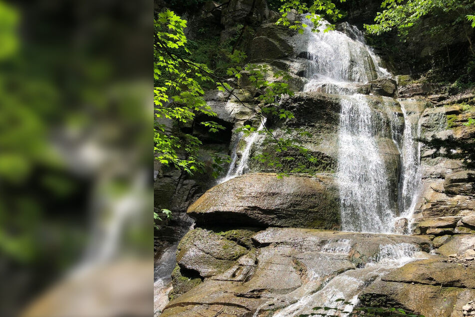Onondaga Nation reclaims more than 1,000 acres of sacred land in New York