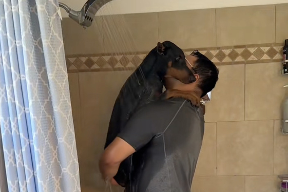 Buddah the Doberman was covered in mud when he came home from a camping trip, so he was given a creative shower.