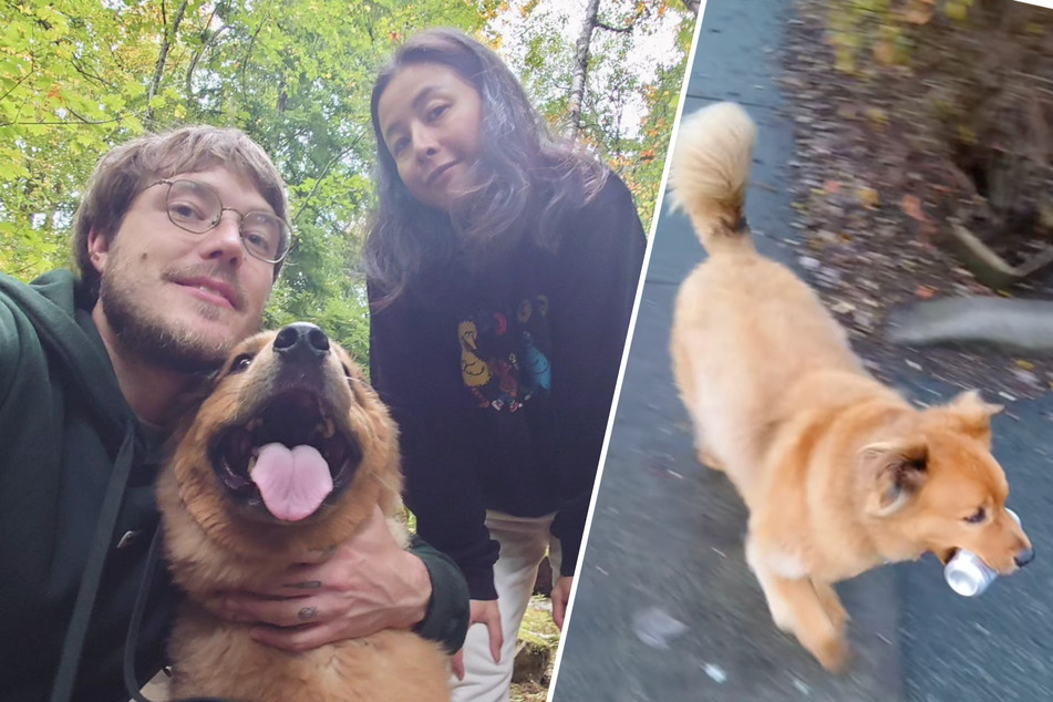 Dog develops an unusual hobby that pays the bills!