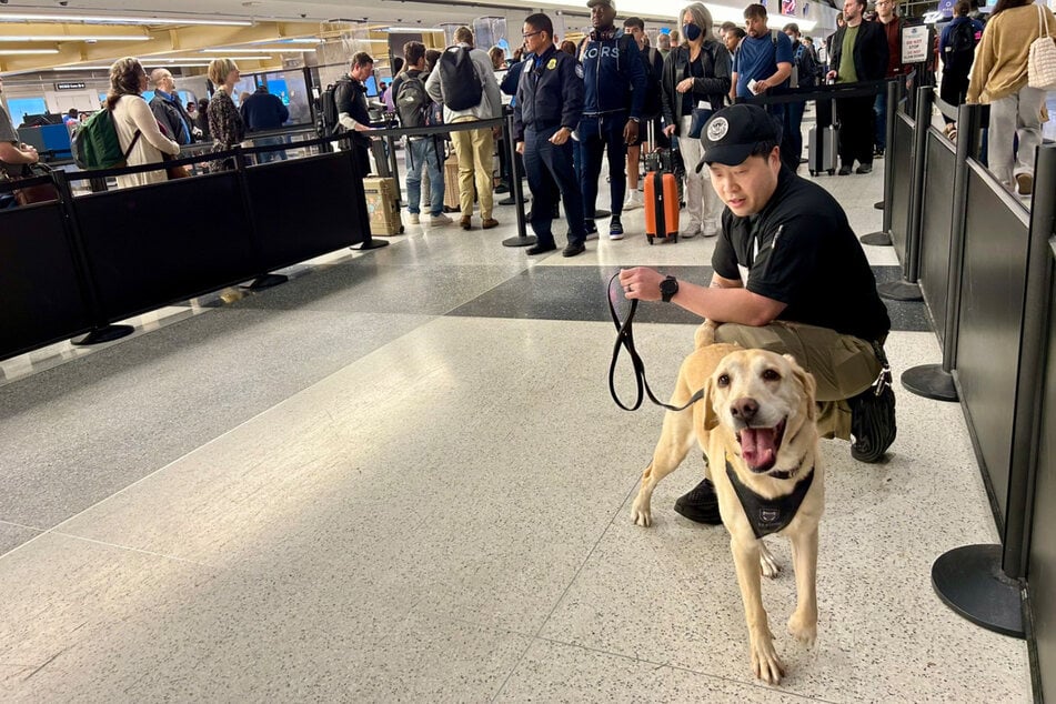 The eight-year-old explosives detection dog and his handler Peter celebrated Messi's last day in epic style!