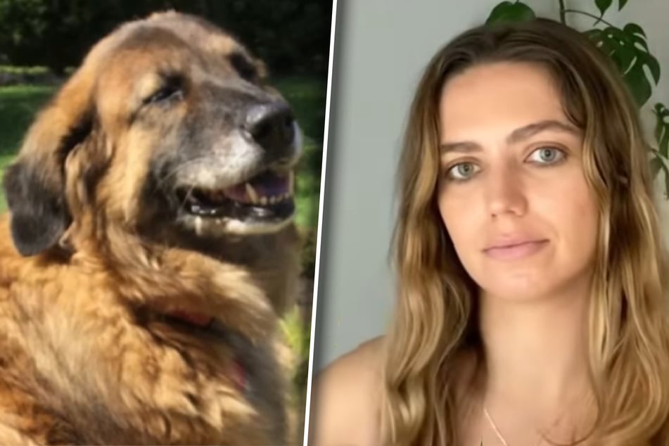 Woman and three siblings suffer from mysterious illness for years – their dog was the key!