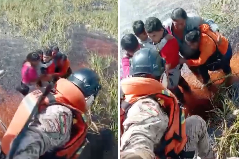 Five people survive two days in an alligator nest after terrifying crash!