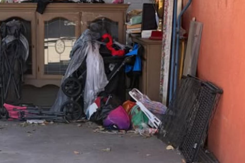 The dog had hidden in this corner full of bulky waste.