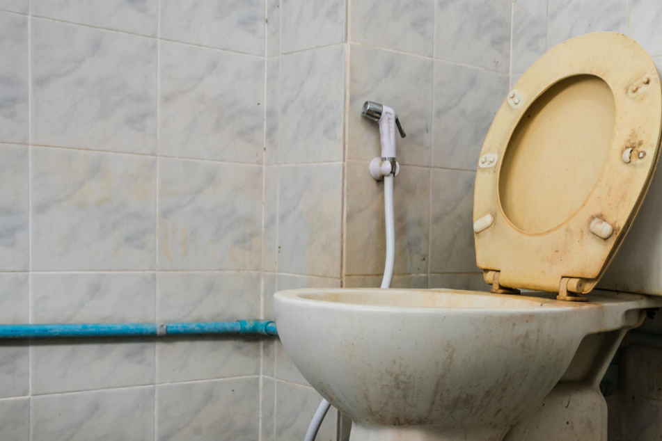Husband keeps his wife trapped in a tiny toilet for over a year