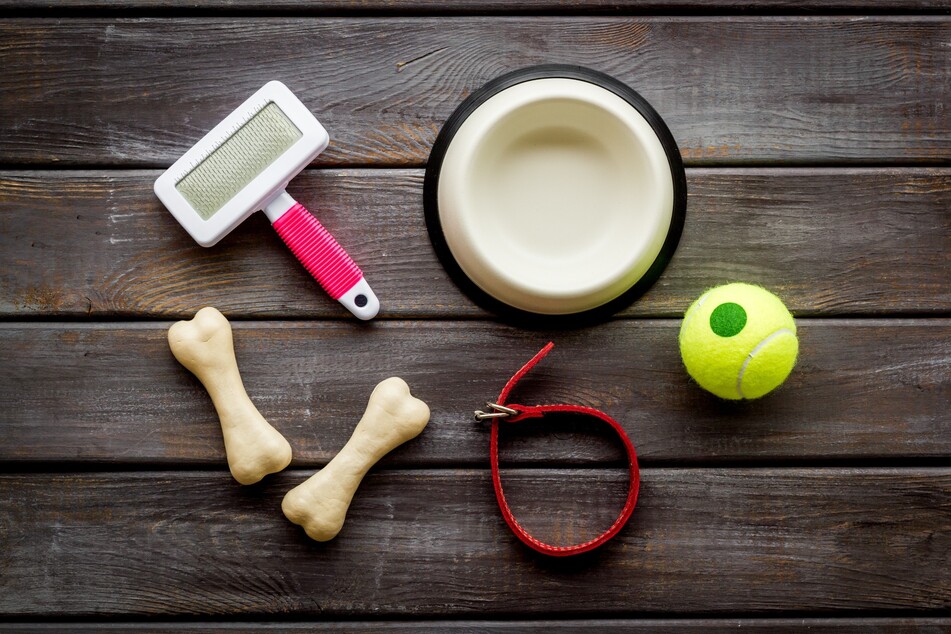 Dogs have their own household items, which should always be at hand during the moving period.