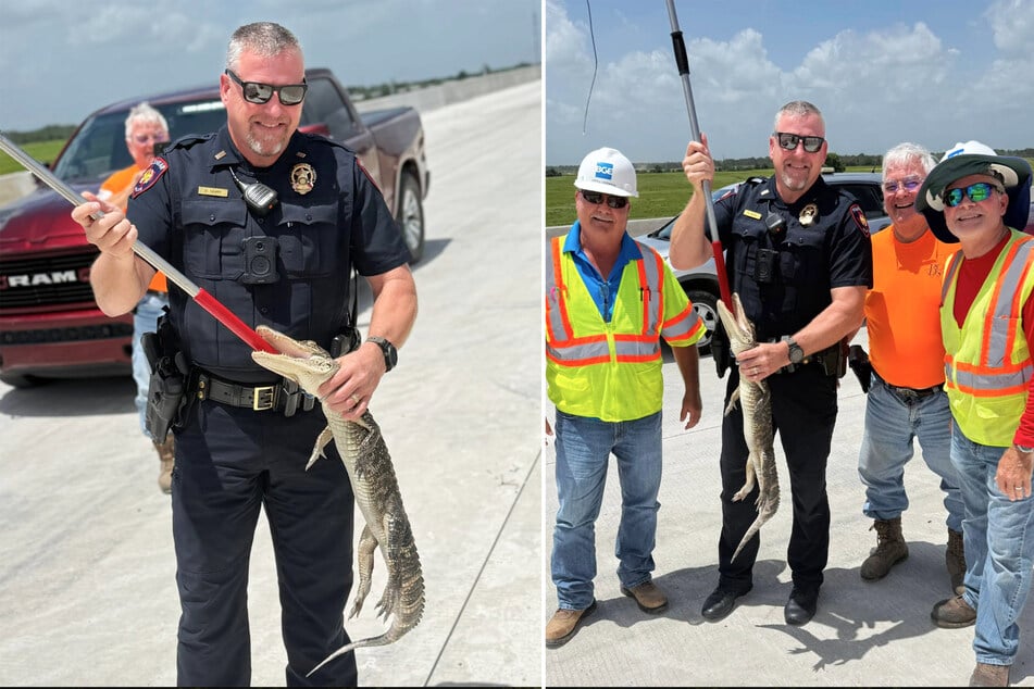 On Tuesday, construction workers in Texas discovered a small alligator and immediately contacted local authorities.