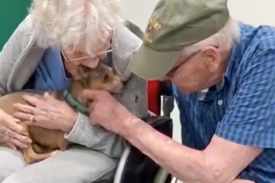 Sweet dog Mocha loves getting attention!