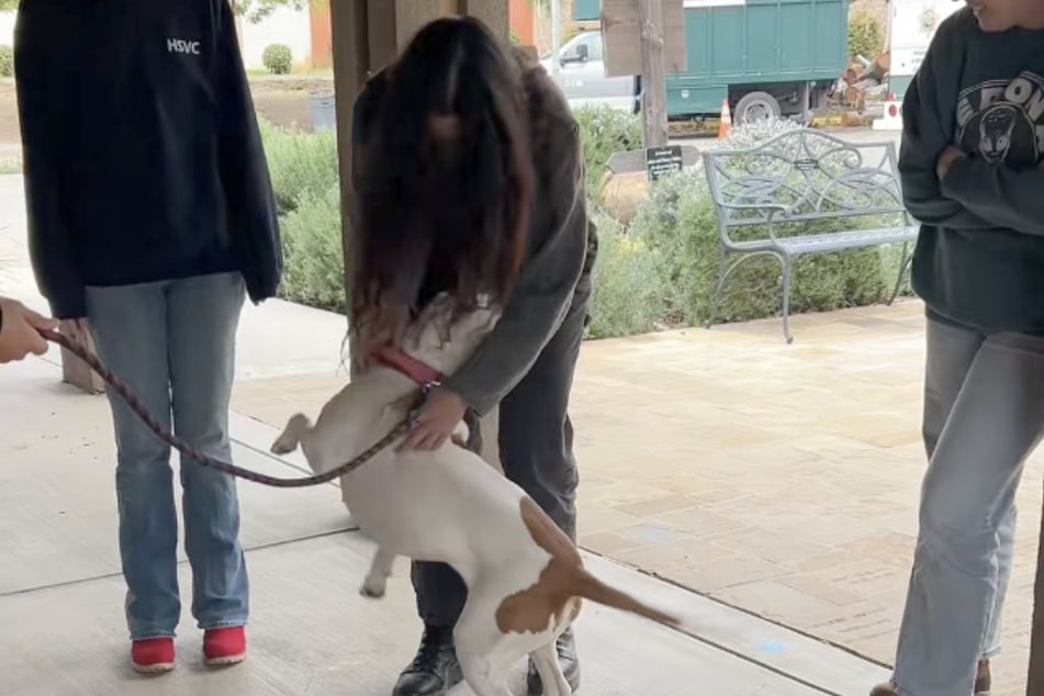 The reunion was captured on video, and Maya the dog's reaction couldn't be sweeter!