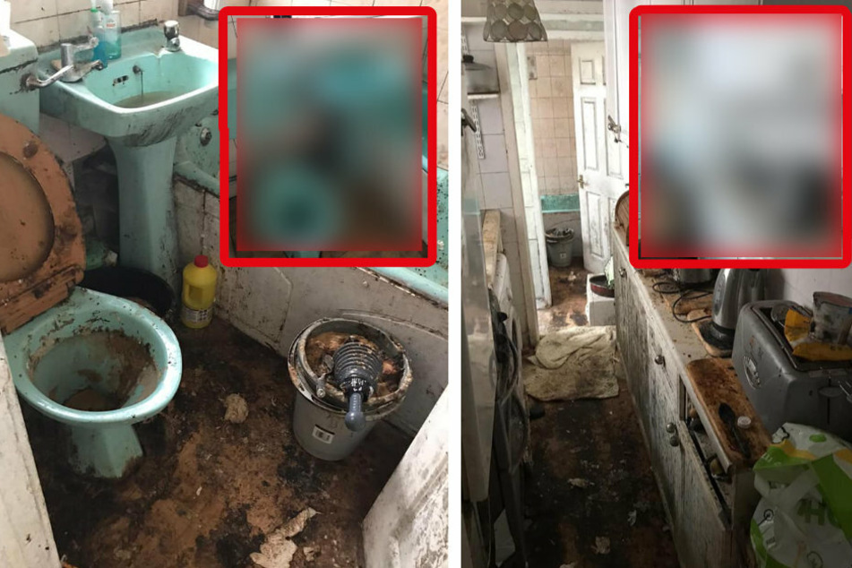 Elderly man living in decaying house comes home to an amazing surprise