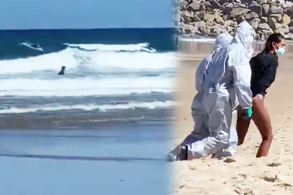 Coronavirus-infected woman goes surfing instead of quarantining