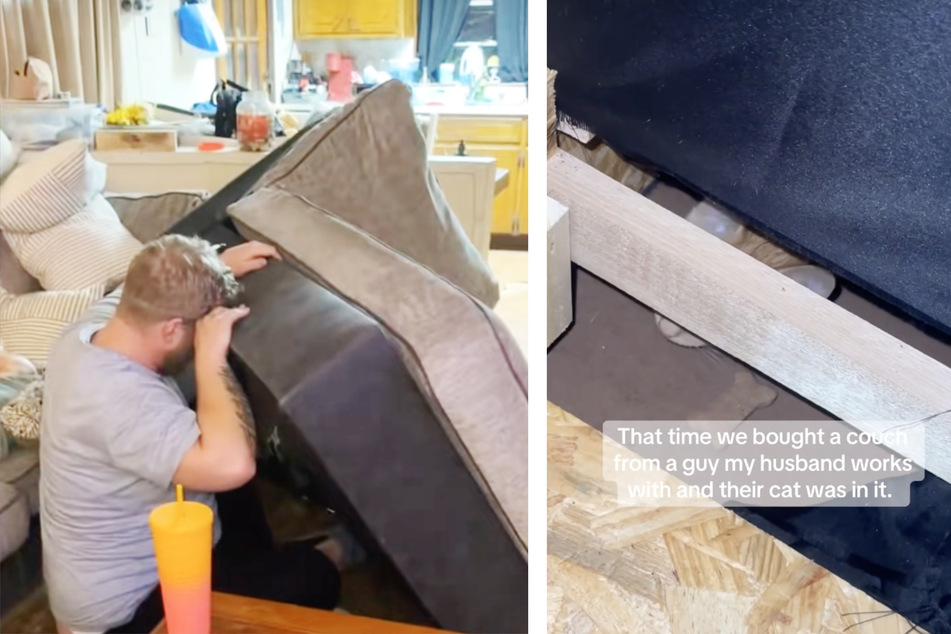 After buying a second-hand couch, the new owners heard an unusual noise coming from inside the piece of furniture...