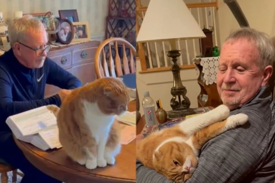 Cat cares for cancer patient in incredibly moving friendship