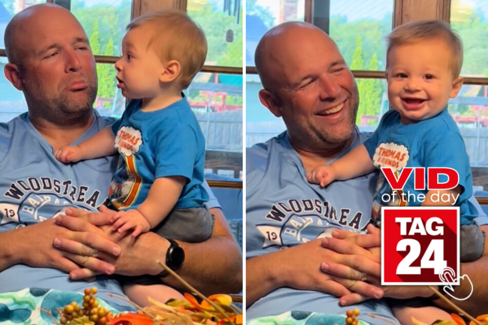 Viral Video of the Day for November 8, 2023: Little baby puts Taylor Swift's Shake It Off to the test!
