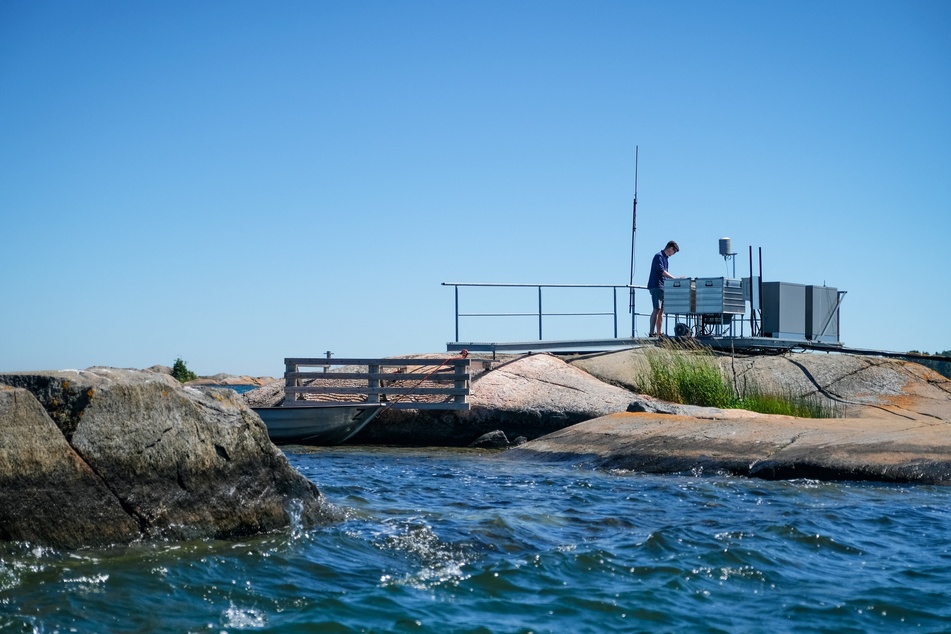 Warming Baltic Sea is a red flag for global oceans
