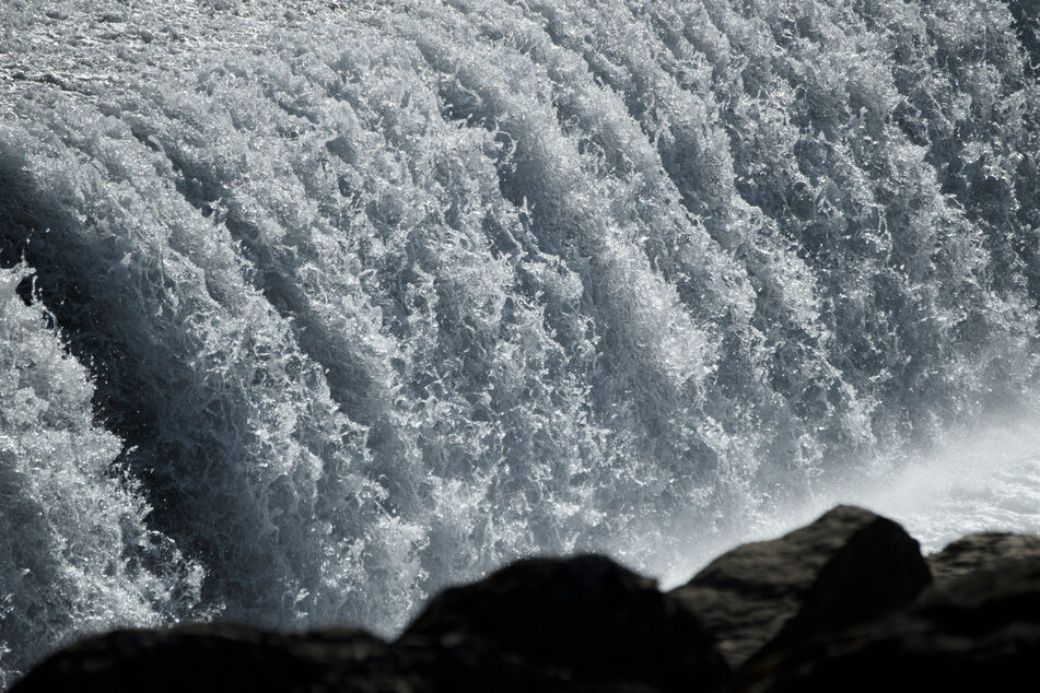 Some in California's fishing sector have accused Governor Gavin Newsom of poor water management, criticizing the heavy use of water by the state's agriculture sector.