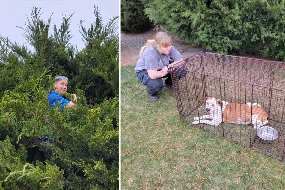 Rescuers shared news of a bittersweet rescue, as they could only save the mama dog and one out of four puppies.