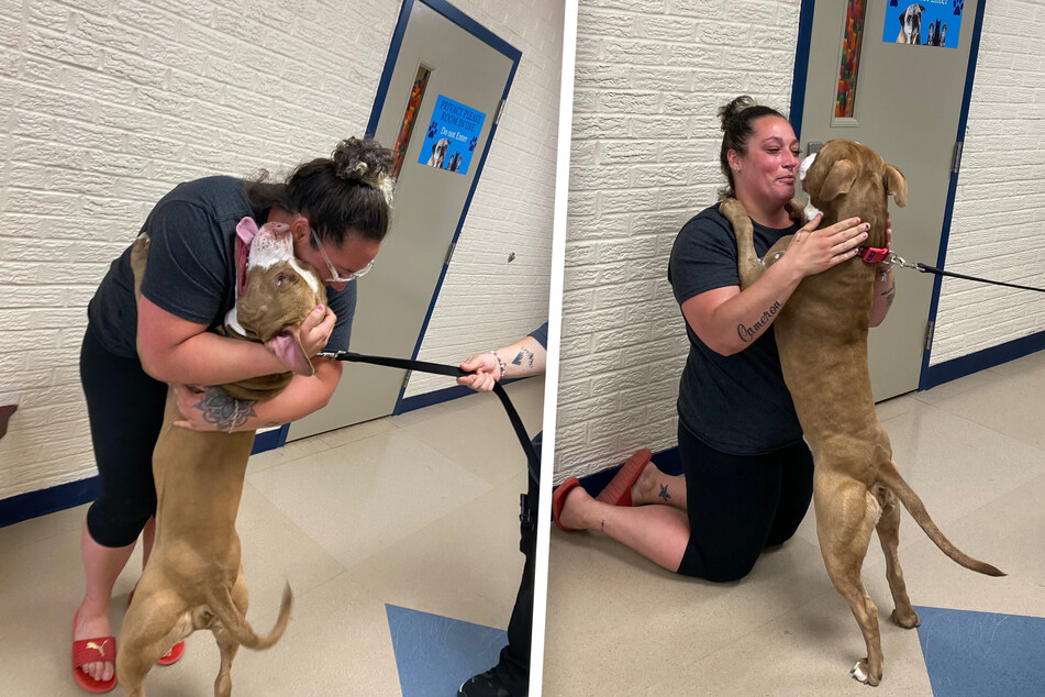 Lost dog and owner reunited after two years – and there's not a dry eye in the house