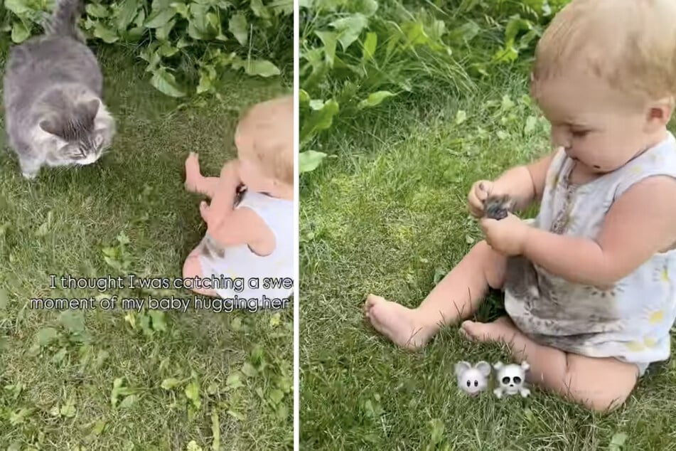 Mom films cute moment between cat and baby – but she's horrified when she notices this gross detail!