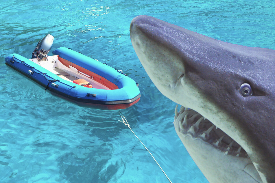 Netflix crew gets attacked by sharks while filming in Hawaii: "The whole boat exploded"