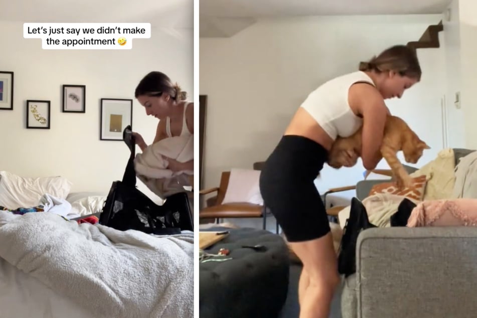 "Demon" cat refuses to go to the vet in struggle bus TikTok clip