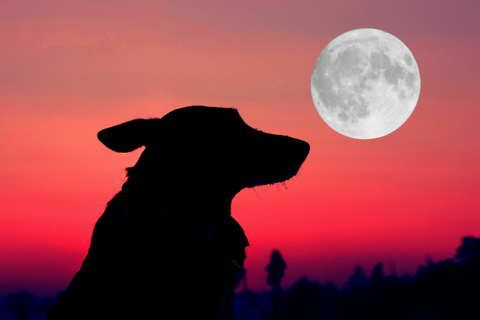 Today's horoscope: Free horoscope for Saturday, June 12, 2021