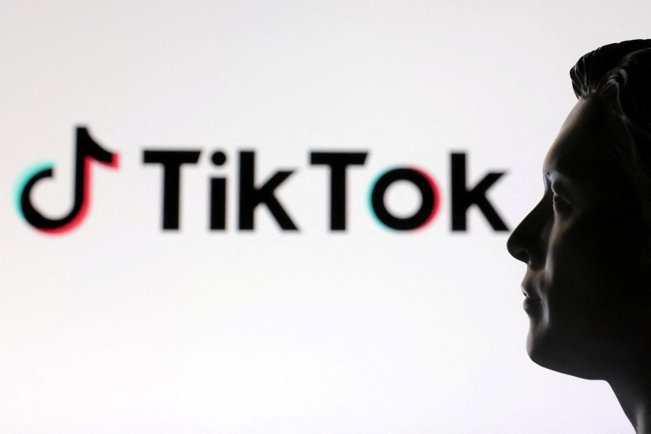 Elon Musk directly addresses TikTok takeover speculation