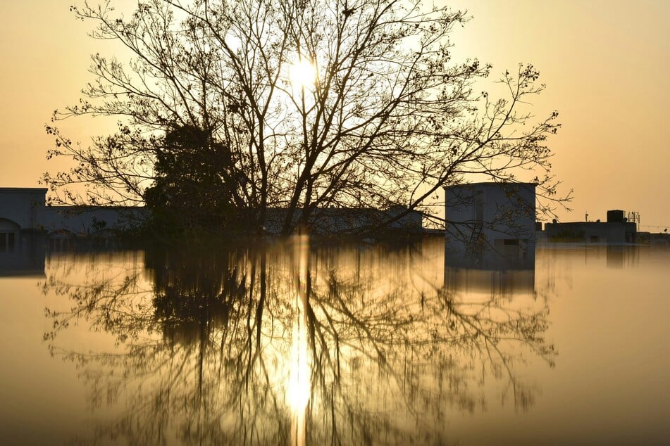The Trump administration cut critical funding to the National Climate Assessment, a crucial report mandated by Congress every four years.