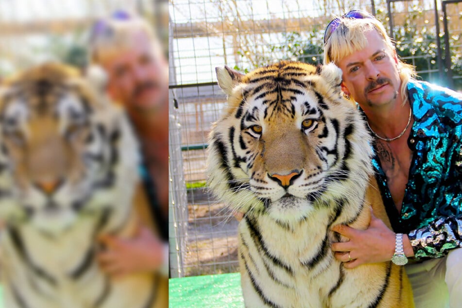 Netflix docuseries Tiger King is returning for a second season!