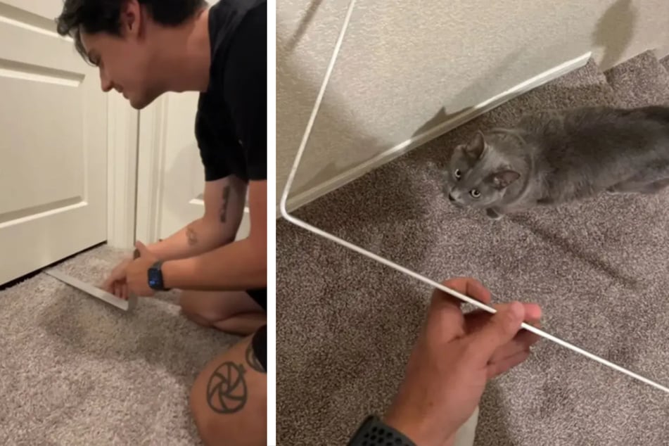 Cat locks himself in the bathroom – and his owner comes up with brilliant rescue idea!