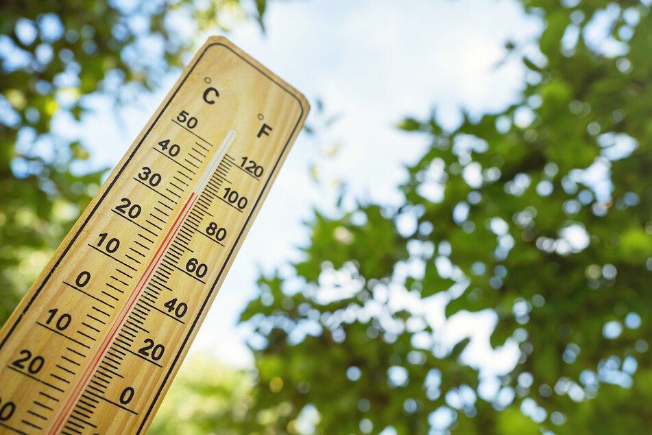 COP28 "cooling pledge" vows huge emissions cut by 2050