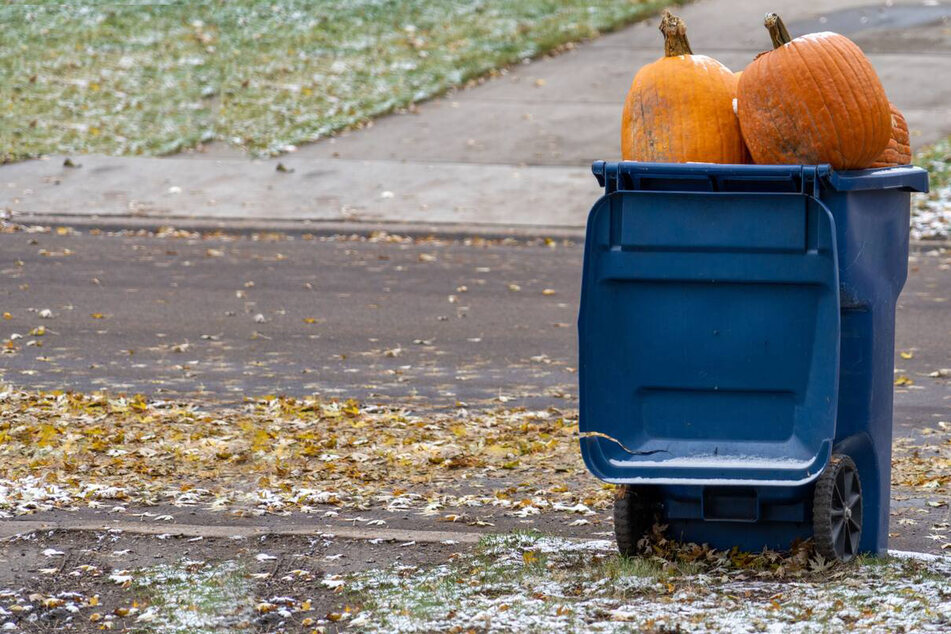Here's what to do with your Halloween pumpkins instead of throwing them out!