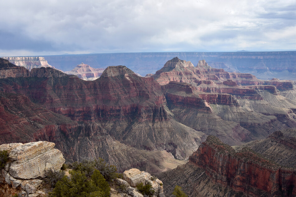 A group of tourists are free after being trapped nearly 200 feet underground at the Grand Canyon Caverns in Arizona for more than 24 hours.