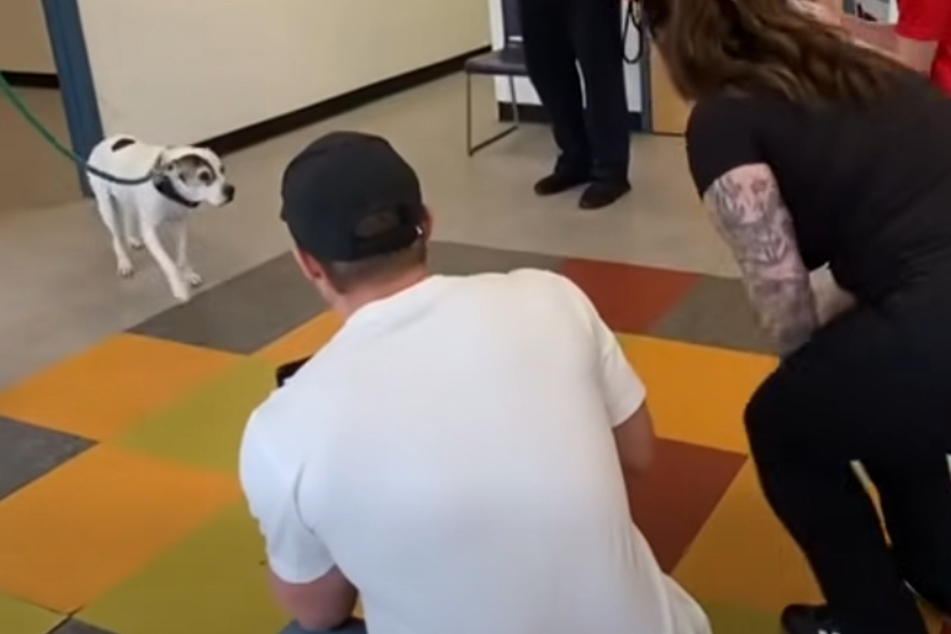 Missing dog reunited with family after 10 years – but his reaction is disappointing