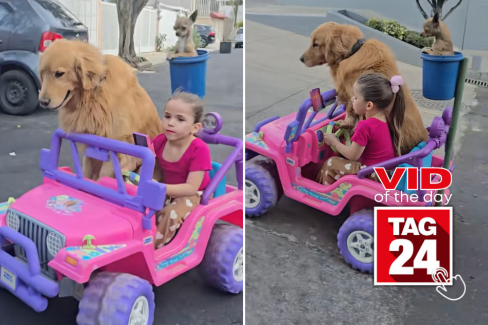Viral Video of the Day for April 1, 2026: Little girl drives around town in Barbie car with her dogs in tow