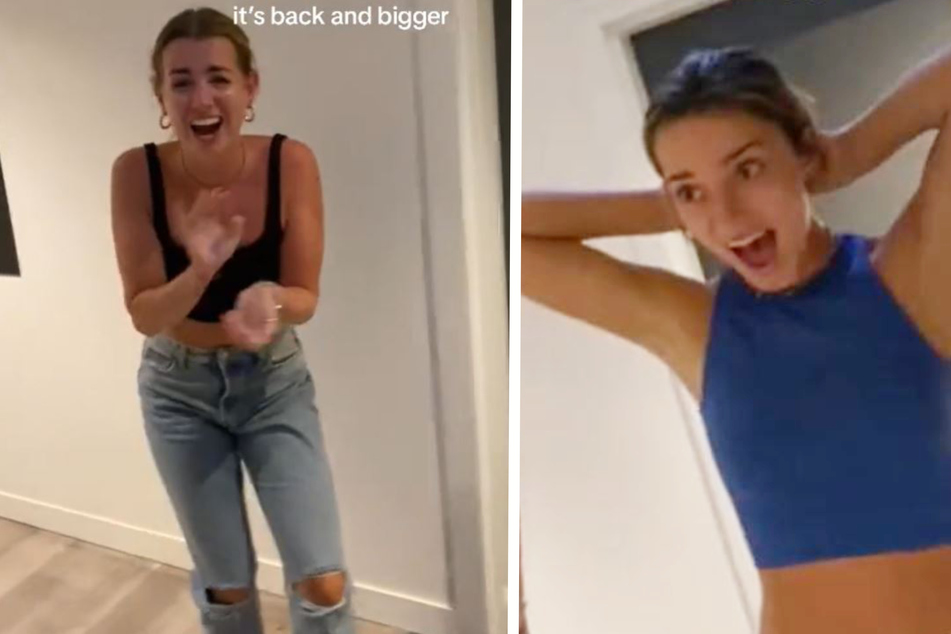 The roommates could not believe there was another spider in their apartment.