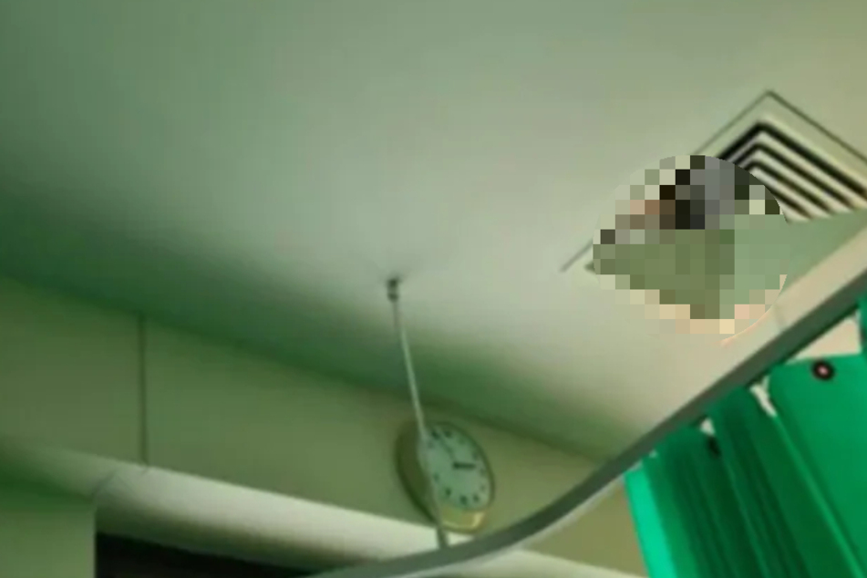 Woman terrified by something staring down at her from hospital air vent