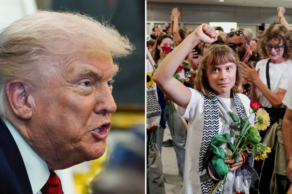 Greta Thunberg torches Trump in response to "anger management" comments