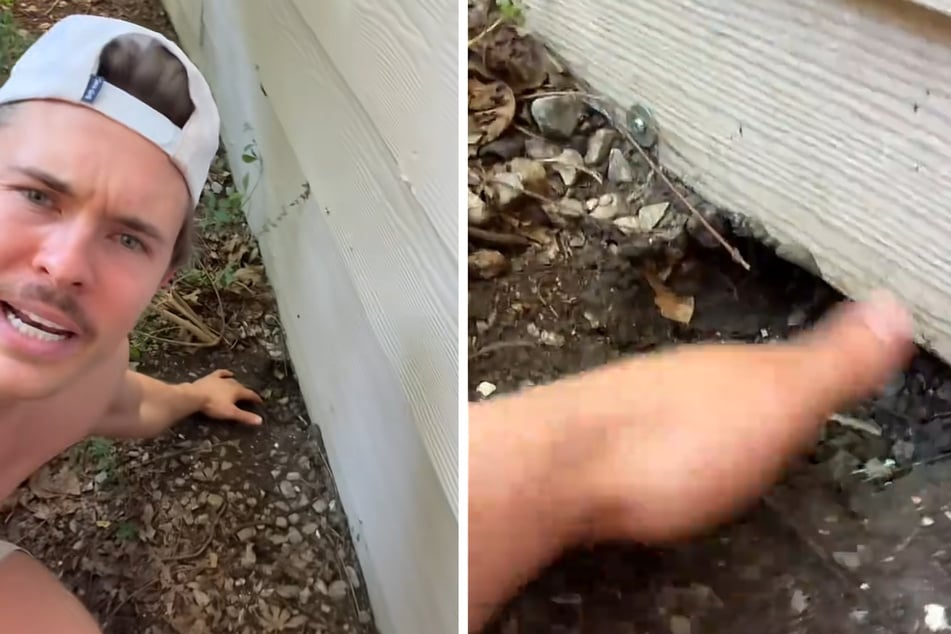 Ian Smith from Texas once discovered that a hole had been dug under his home, and some cute critters were to blame!
