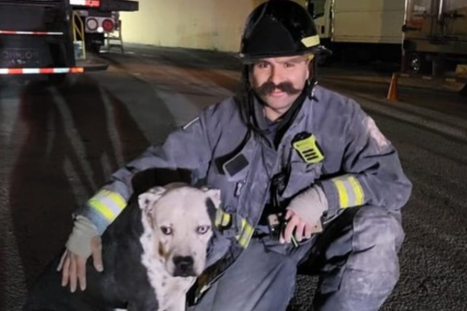 The trapped dog survived its scary predicament largely unscathed.