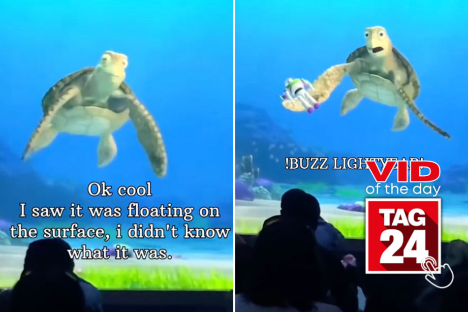 Viral Video of the Day for October 10, 2023: Little boy excitedly screams "BUZZ LIGHTYEAR" to Crush at Disney