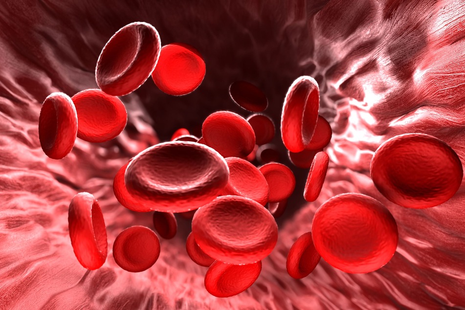 Lab-grown red blood cells transfused into person in a world first