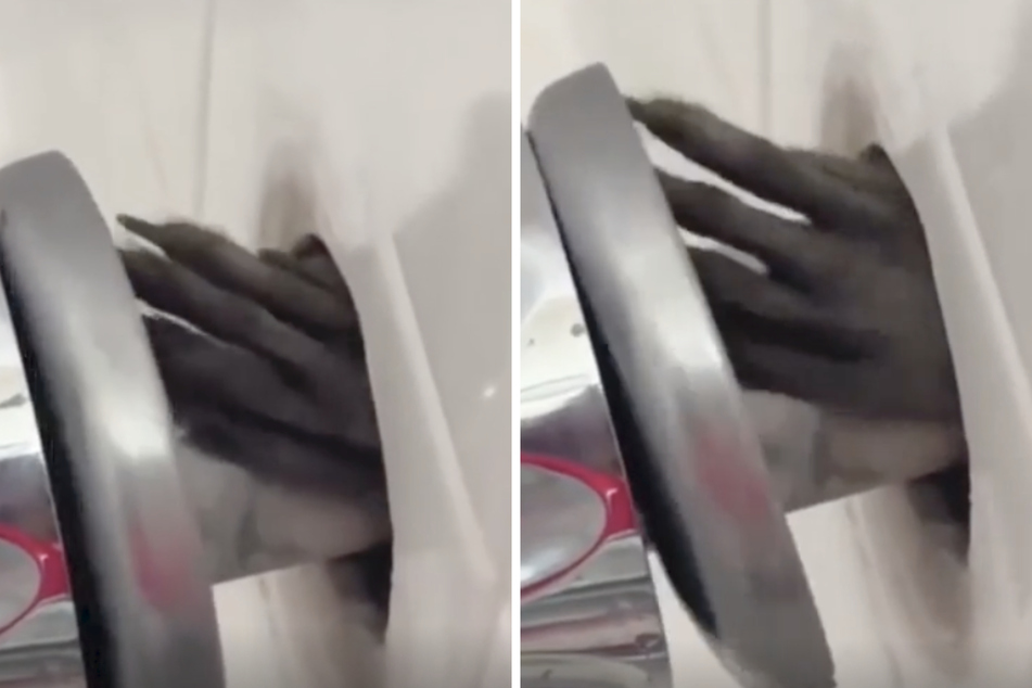 Reddit user shares terrifying moment when claws reach out in the shower: "Call the exorcist"