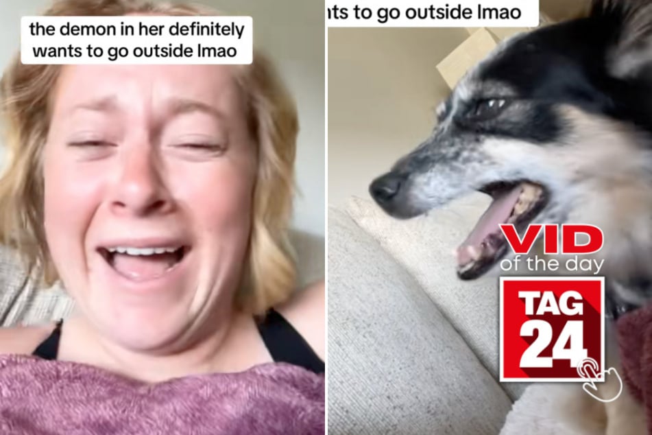 Viral Video of the Day for July 18, 2025: "Demon" dog lets out terrifying howl when asked to go outside