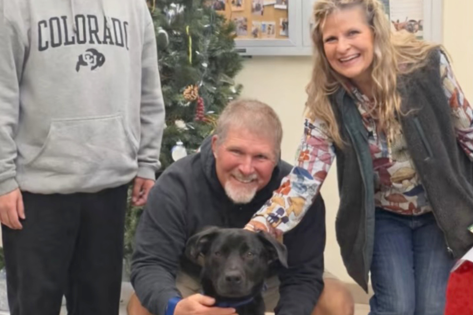 A family fell in love with Louie and finally gave him the forever home he deserves!
